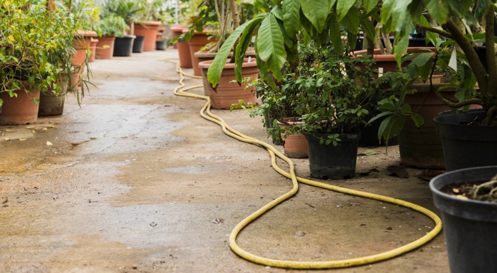 抽水肥要注意什麼?避免臭氣與堵塞的秘訣